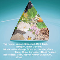 SOUL No. 4002 Impression Mandarino di Amalfi Perfume for Women Women Eau de Parfum Spray 4.0 Fl Oz 120 ml Long Lasting Fragrance EasyOptionXY LLC