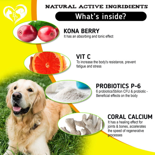 Dog Anti Itch Allergy Relief Chews Dry Itchy Skin Hot Spot Treatment with Probiotic Omega 3 Oil Immune Supplement Seasonal Allergies Medicine for Dogs Puppy 140 Bites EasyOptionXY LLC