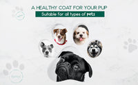 BeNat Pets. 3-Pack Pet Grooming Bundle. Pet Soap Bar + Pet Balm + Bath Towel EasyOptionXY LLC