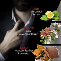 Pheromone Cologne for Men Pheromone Perfume for Men Spray Male 20 ml EasyOptionXY LLC