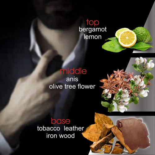 Pheromone Cologne for Men Pheromone Perfume for Men Spray Male 20 ml EasyOptionXY LLC