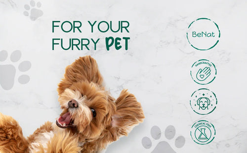 BeNat Pets. 3-Pack Pet Grooming Bundle. Pet Soap Bar + Pet Balm + Bath Towel EasyOptionXY LLC