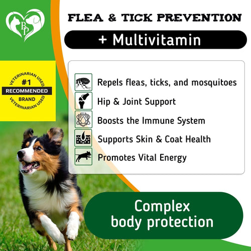 Flea and Tick Prevention Chewable Pills for Dogs Revolution Oral Flea Treatment for Pets & Complex Multivitamin Natural Pest Control Defense Chews Small Tablets 10 Oz EasyOptionXY LLC