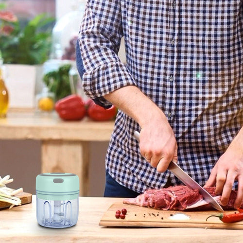 Mini Electric Garlic Chopper 8.45OZ Cordless Garlic Mincer Food Chopper EasyOptionXY LLC