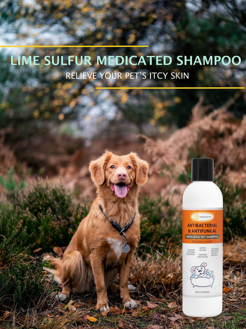 Lime Sulfur Pet Shampoo - Pet Care and Veterinary Solution for Itchy and Dry Skin - Safe for Dog;  Cat;  Puppy;  Kitten;  Horse EasyOptionXY LLC