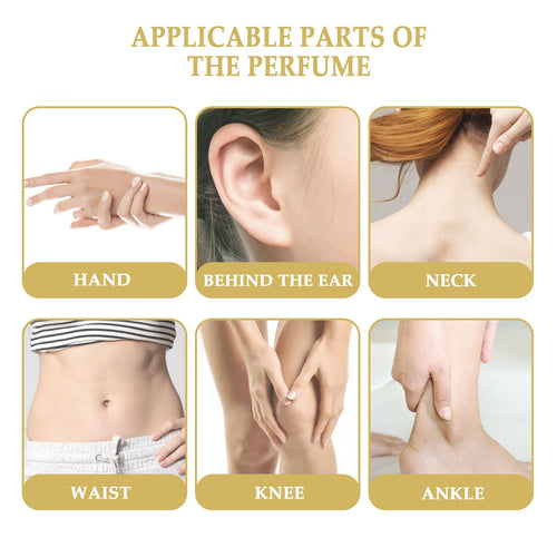 North moon Perfume Fresh fragrance and odor removal lasting niche light fragrance couple dating atmosphere perfume EasyOptionXY LLC