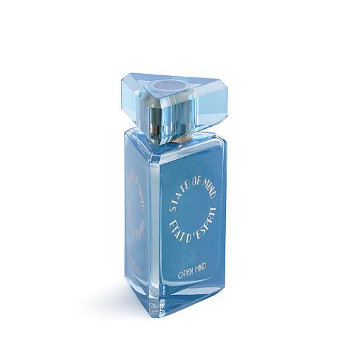 STATE OF MIND OPEN MIND by State Of Mind EAU DE PARFUM SPRAY 3.4 OZ EasyOptionXY LLC