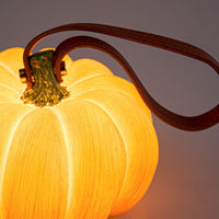 USB Pumpkin Lantern - Rechargeable EasyOptionXY LLC