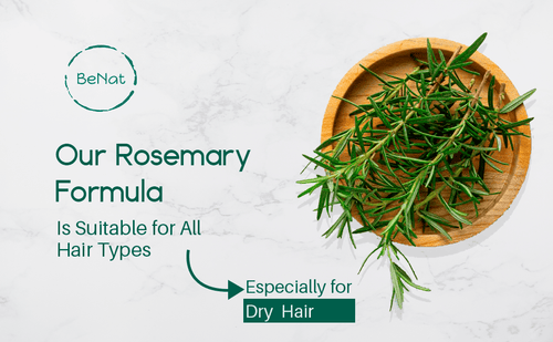 Shampoo Bar & Conditioner Bar Bundle EasyOptionXY LLC