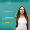 Wormwood Essence Shampoo Ten Plant Extracts Cleanse And Hydrate Hair And Scalp, Improves Hair Volume, Strength And Texture, Physician-formulated For Thinning Hair,for All Hair 9.1 Fl Oz EasyOptionXY LLC