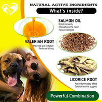 Dog Anti Itch Allergy Relief Chews Dry Itchy Skin Hot Spot Treatment with Probiotic Omega 3 Oil Immune Supplement Seasonal Allergies Medicine for Dogs Puppy 140 Bites EasyOptionXY LLC