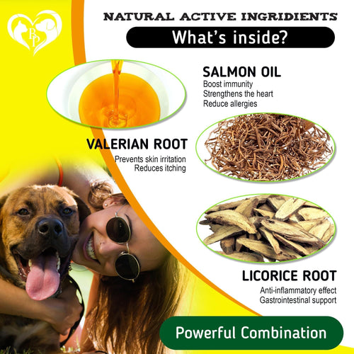 Dog Anti Itch Allergy Relief Chews Dry Itchy Skin Hot Spot Treatment with Probiotic Omega 3 Oil Immune Supplement Seasonal Allergies Medicine for Dogs Puppy 140 Bites EasyOptionXY LLC