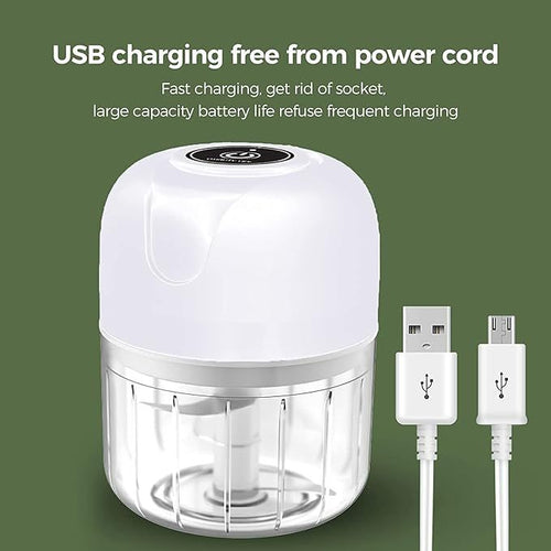 Mini Electric Garlic Chopper, Food Processors Small, Garlic Mincer Crusher Vegetable Chopper, Meat Grinder Masher Kitchen Tool, Portable Blender for Onion, Ginger, Veggie, Spice, Herb, Fruit, Nuts EasyOptionXY LLC