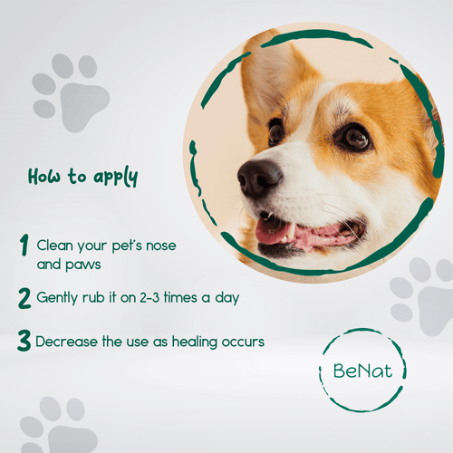 BeNat Pets. 3-Pack Pet Grooming Bundle. Pet Soap Bar + Pet Balm + Bath Towel EasyOptionXY LLC