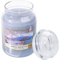 YANKEE CANDLE by Yankee Candle MAJESTIC MOUNT FUJI SCENTED LARGE JAR 22 OZ EasyOptionXY LLC