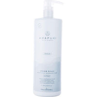 PAUL MITCHELL by Paul Mitchell AWAPUHI WILD GINGER CREAM RINSE 33.8 OZ EasyOptionXY LLC