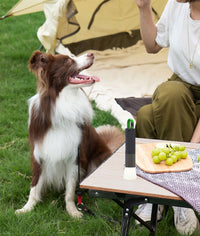 Flash Flashlight EasyOptionXY LLC