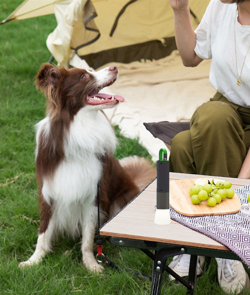 Flash Flashlight EasyOptionXY LLC