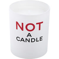 NOT A PERFUME by Juliette Has a Gun SCENTED CANDLE 6.35 OZ EasyOptionXY LLC
