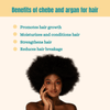Chebe+ Argan Hair Butter for Hair Growth_Travel Size, 100g EasyOptionXY LLC