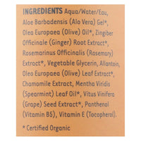 Organic Excellence Wild Mint Conditioner - 16 Oz EasyOptionXY LLC