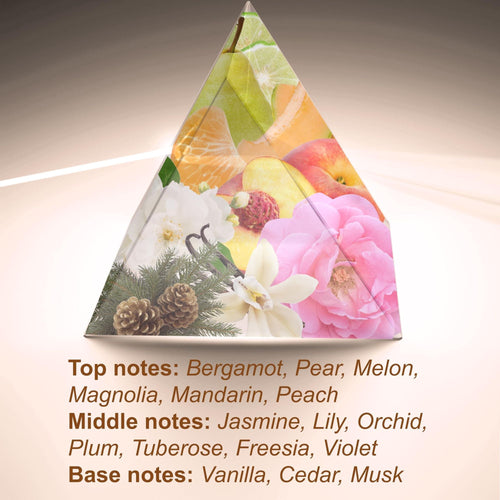 SOUL Inspired by Jadore Spray 4.0 Fl Oz 120 ml Perfume for Women Eau de Parfum Long Lasting Fragrance EasyOptionXY LLC