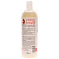 Puremix Fresh Pomegranate Color Protecting Shampoo by Rusk for Unisex - 35 oz Shampoo EasyOptionXY LLC
