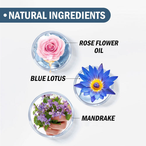 EELHOE Herbal Perfume Fresh, light, natural, long-lasting fragrance with a niche couple dating atmosphere perfume EasyOptionXY LLC