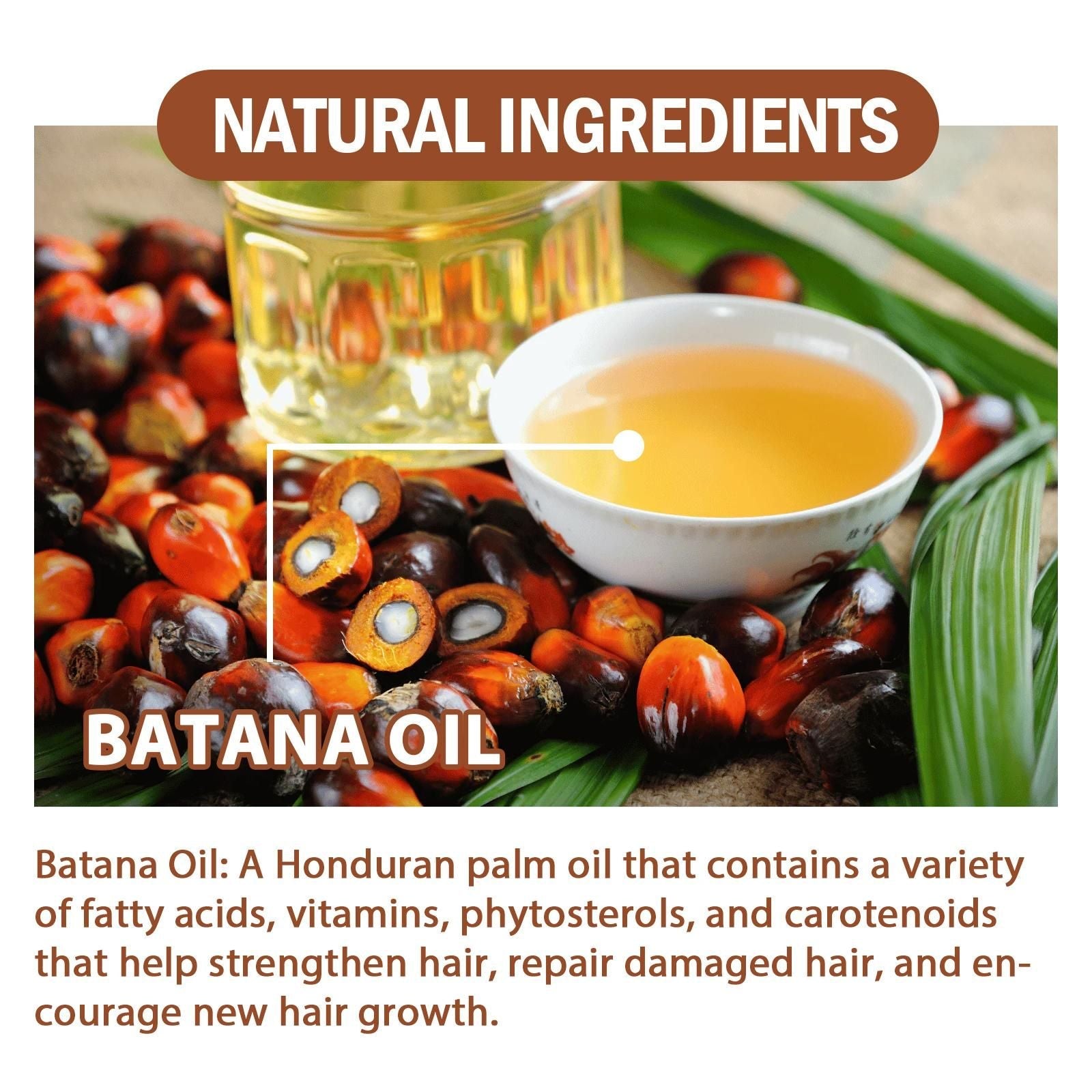 Batana Oil From Honduras - Get Fuller, Thicker, Healthier Hair - Great Gifts For Women Men Conditioner Haircare Silky - Hair Nutrition EasyOptionXY LLC