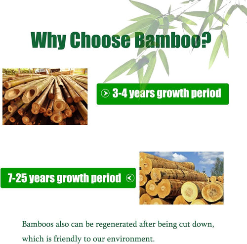 2 Tier Bathroom Wall Cabinet with Adjustable Shelf;  Double Door Cabinet for Bathroom EasyOptionXY LLC