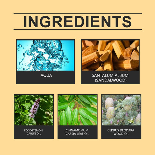 East Moon Men's Perfume Long Lasting Light Wood fragrance Fresh natural release men's charm perfume EasyOptionXY LLC