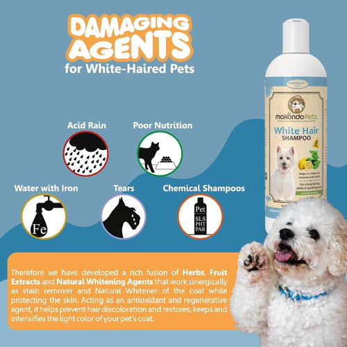 Dog Whitening Shampoo for Dogs with White Light Colored Hair Coat Fur White Haired Pets Shampoo for Itching Dry Sensitive Skin. Non Toxic Formula EasyOptionXY LLC