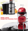 28199470 900W Multi-function electric juicer juice 0.8L, 1.5L slag cup without BPA fruit and vegetable juice, modern vertical mixing kitchen juicer, secondary mechanical EasyOptionXY LLC