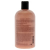 Melon Daiquiri Shampoo, Bath and Shower Gel by Philosophy for Unisex - 16 oz Shower Gel EasyOptionXY LLC