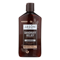 Jason Dandruff Relief Shampoo - 12 Fl Oz EasyOptionXY LLC