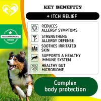 Dog Anti Itch Allergy Relief Chews Dry Itchy Skin Hot Spot Treatment with Probiotic Omega 3 Oil Immune Supplement Seasonal Allergies Medicine for Dogs Puppy 140 Bites EasyOptionXY LLC