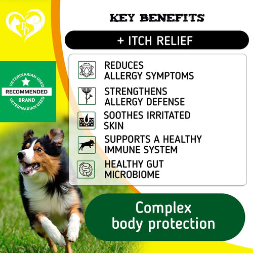 Dog Anti Itch Allergy Relief Chews Dry Itchy Skin Hot Spot Treatment with Probiotic Omega 3 Oil Immune Supplement Seasonal Allergies Medicine for Dogs Puppy 140 Bites EasyOptionXY LLC