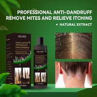 EELHOE Anti-Dandruff Shampoo - Itch Relief, Hair Loss Prevention, Oil Control & Refreshing Care EasyOptionXY LLC