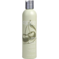 ABBA by ABBA Pure & Natural Hair Care GENTLE CONDITIONER 8 OZ (NEW PACKAGING) EasyOptionXY LLC