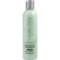 SIMPLY SMOOTH by Simply Smooth XTEND KERATIN REPLENISHING CONDITIONER TROPICAL SODIUM CHLORIDE FREE 8.5 OZ EasyOptionXY LLC