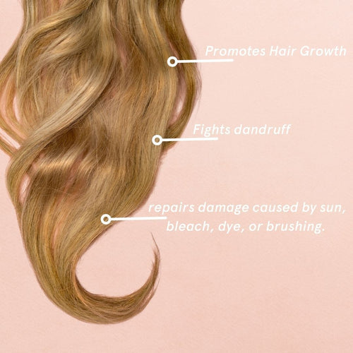 Silk'e Repair Therapy Shampoo 25oz EasyOptionXY LLC