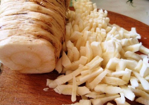 Dutch Hamburg Parsley Root Sugar Heirloom Herbs Vegetable Non GMO - 2000 Seeds South Mountain Nursery