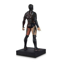 ToyShnip Eaglemoss WWE Championship Collection Figure with Collector Magazine