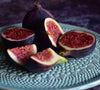 Ficus Carica Fig - 100 Seeds - Sweet Fruit Shrub Tree South Mountain Nursery