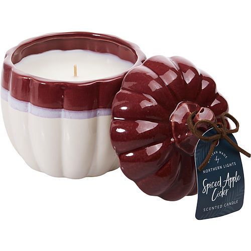 SPICED APPLE CIDER by Northern Lights CERAMIC PUMPKIN CANDLE 12 OZ EasyOptionXY LLC