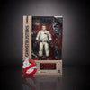 ToyShnip Ghostbusters Plasma Series 6-Inch Action Figure - Select Figure(s)