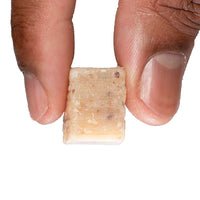 Grasshopper Catfish Bait Catfish Pro