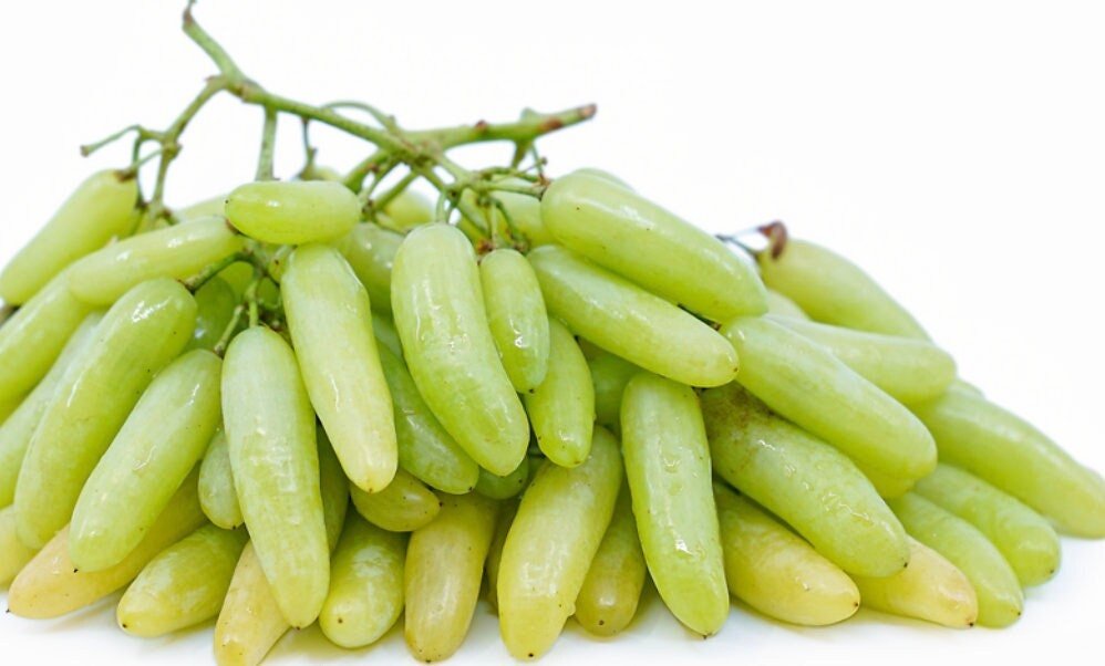 South Mountain Nursery Green Finger Grape Heirloom Seeds - Vitus Vinifera - Non GMO - Tasty
