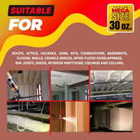 Spray Foam Insulation Kit (30 oz./850gr)