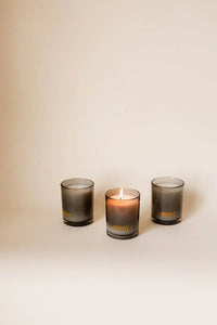 Joshua Tree National Park Candle The Roosevelts Candle Co.